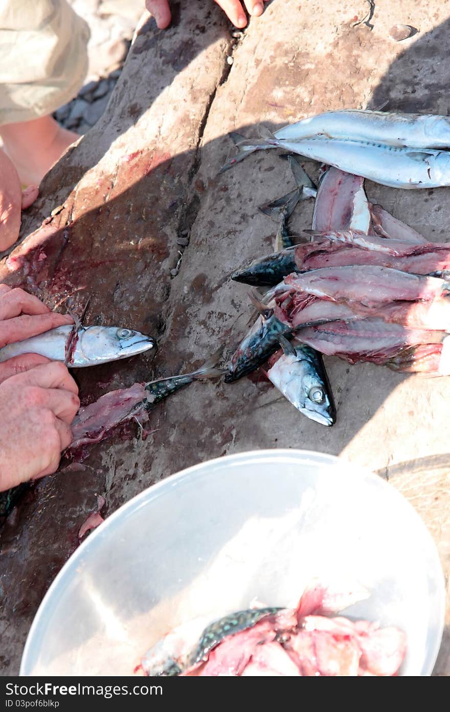 Fisherman Fillets A Bowl Of Fresh Mackerel