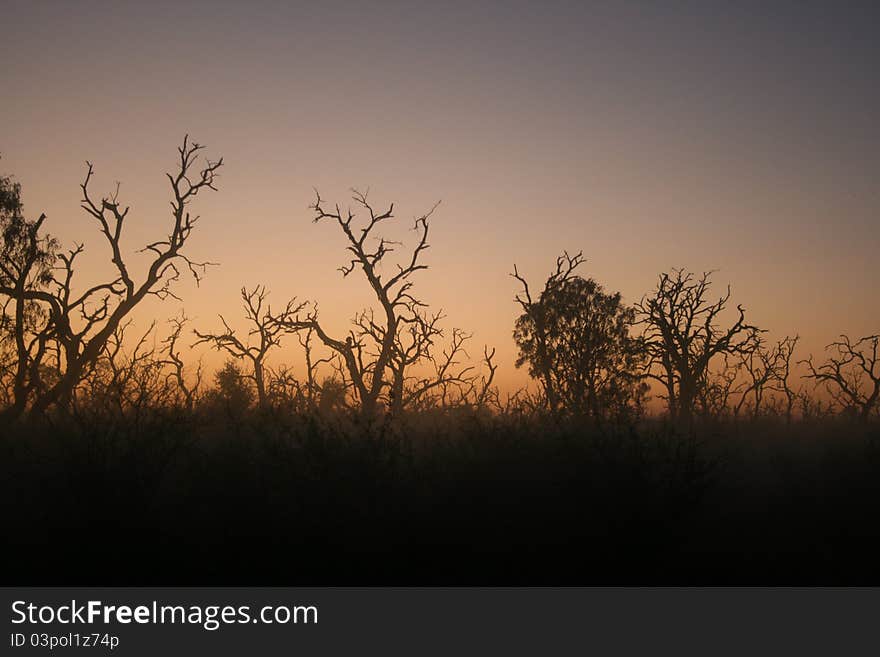 Sunrise in the savanna, Swaziland.