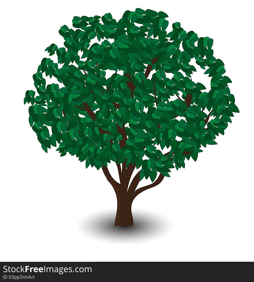 Vector Green Tree