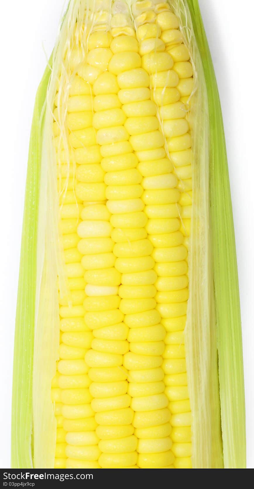 sweet Corn on white background