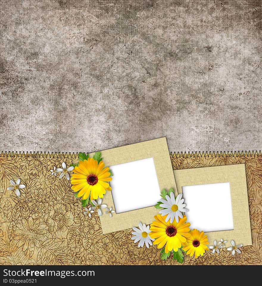 Two frames and flowers on vintage background