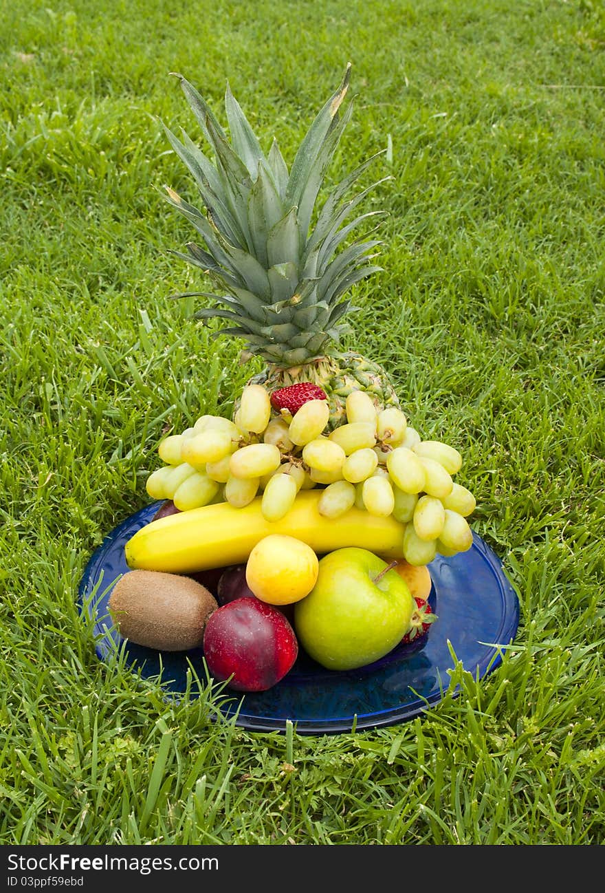 The dish with banans, pineapple, grape on the grass. The dish with banans, pineapple, grape on the grass