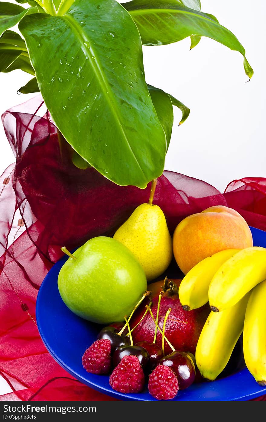 Fruit Bowls