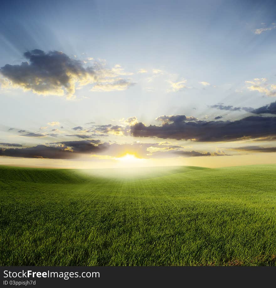 Green meadow under blue sky with clouds. Green meadow under blue sky with clouds