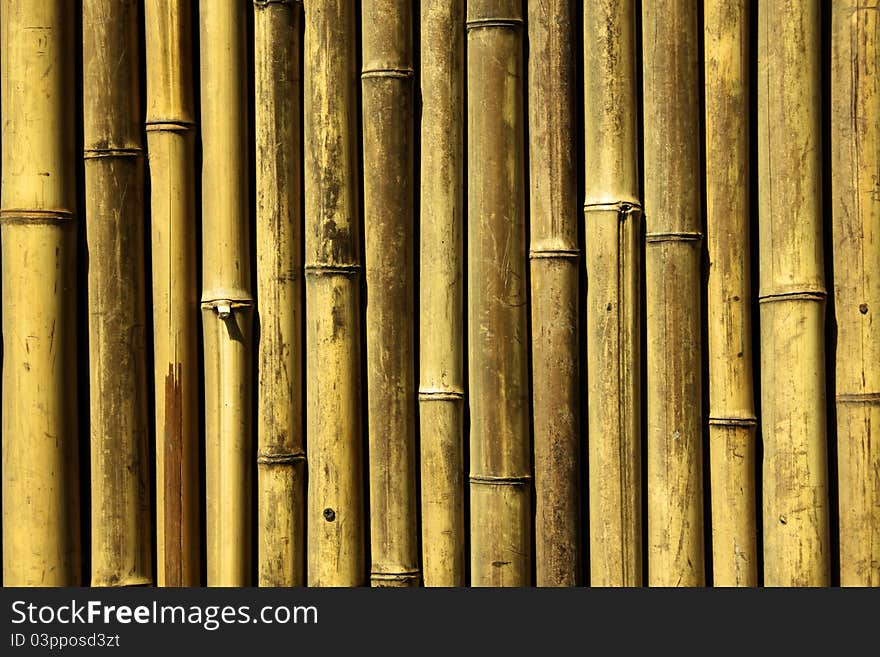 Bamboo Background