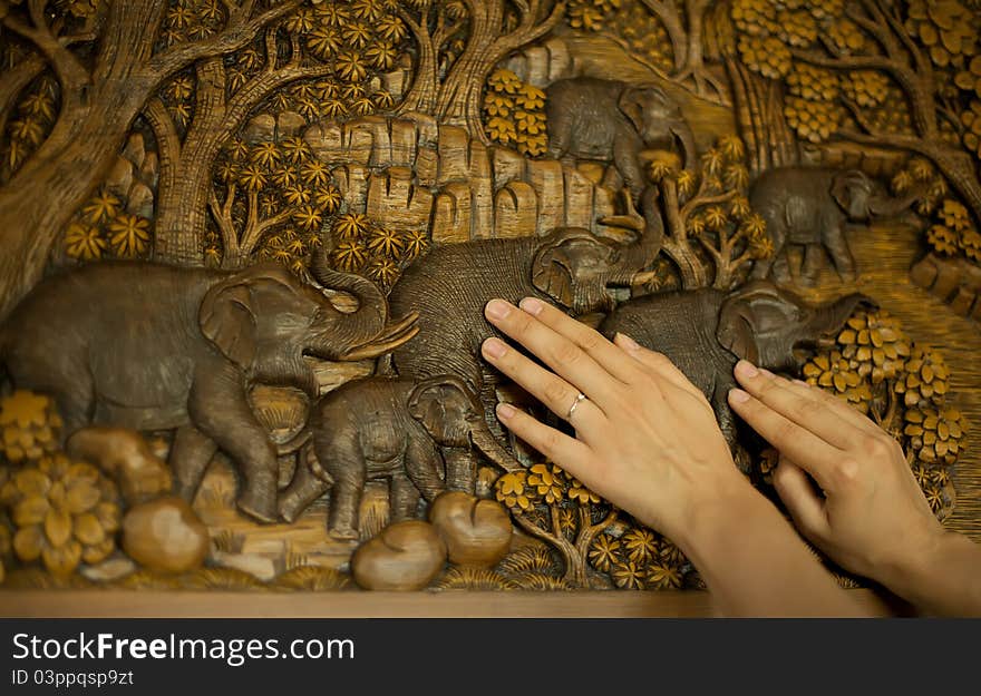 Female hands and picture from a tree