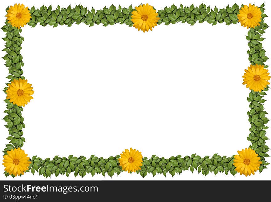 Green Plant Frame With Flowers