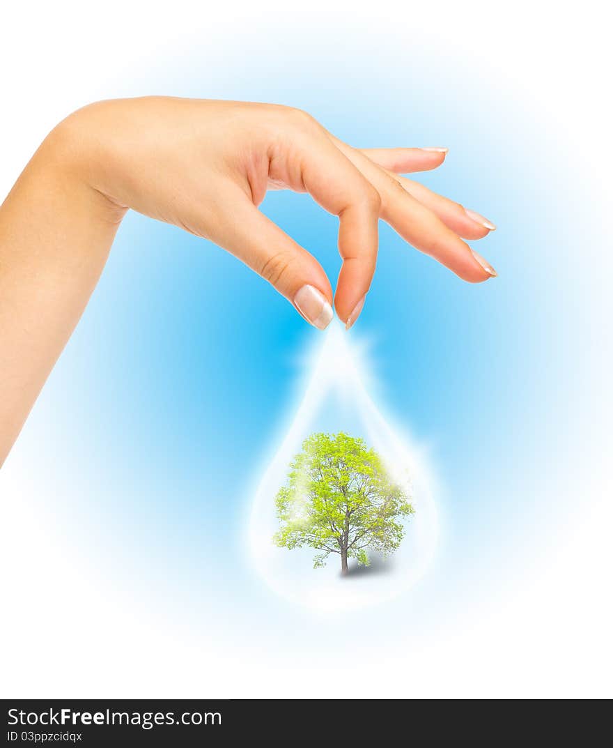 Drop Of Water With Tree Inside And Human Hand