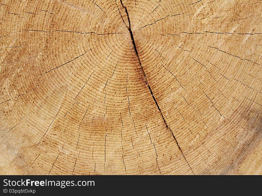 Cracked wooden background, natural surface