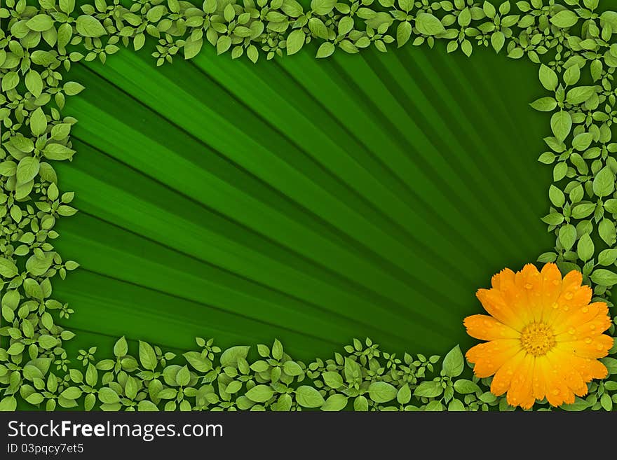 Green leaf and flower, natural background. Green leaf and flower, natural background.