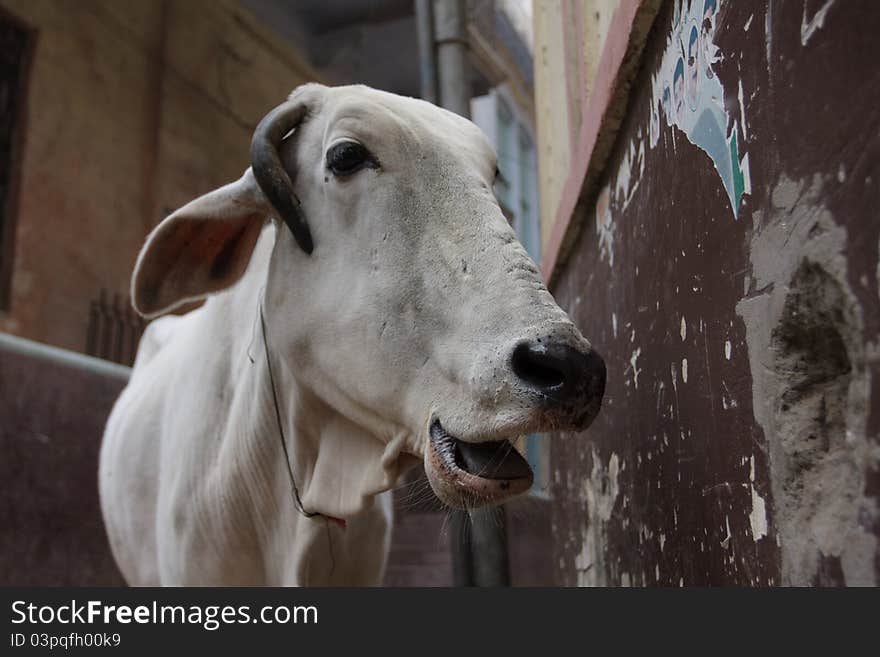 Varanasi