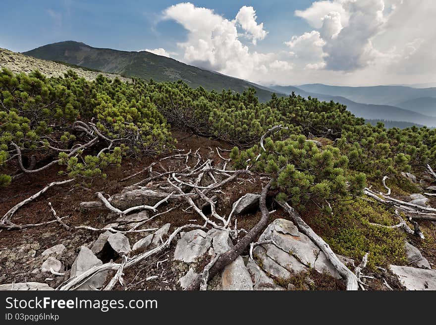 Carpathians Mountains