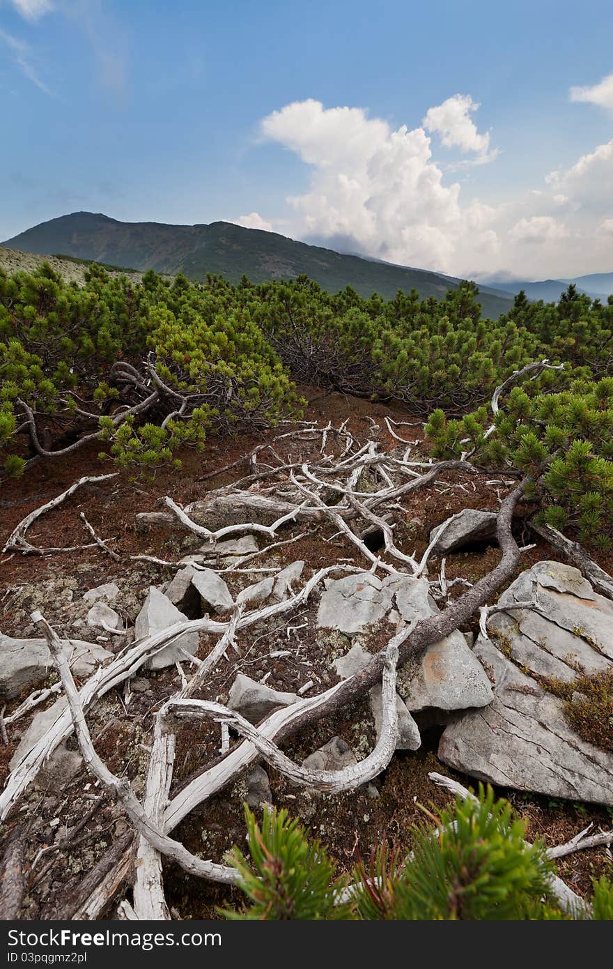 Carpathians Mountains