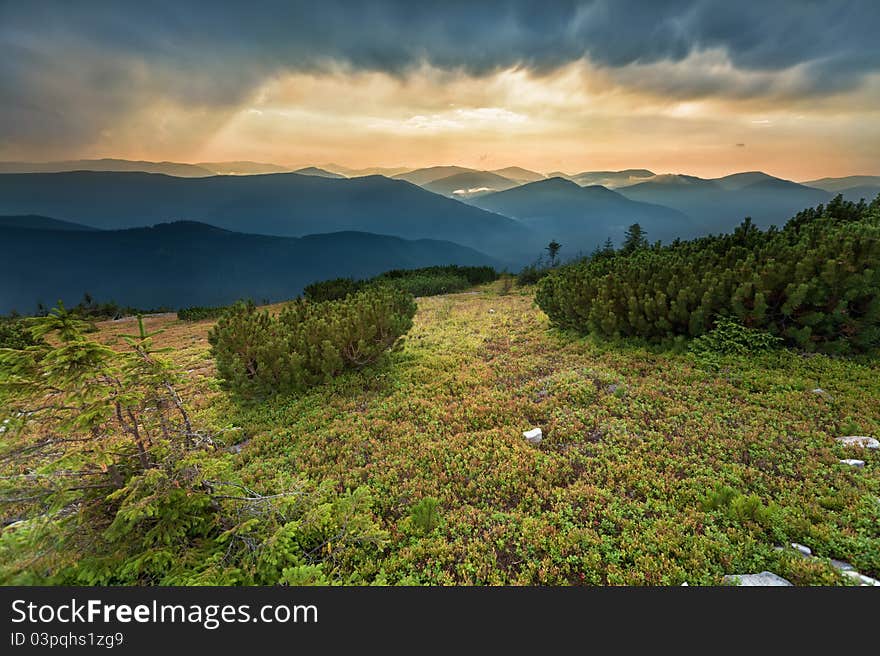 Carpathians Mountains