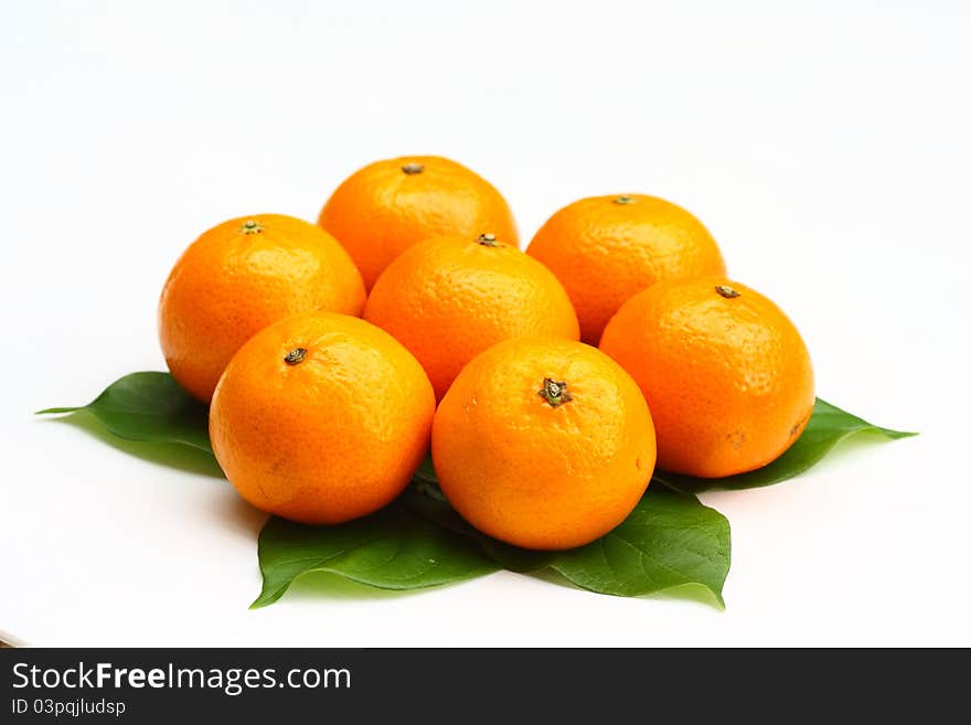 Oranges on the white background