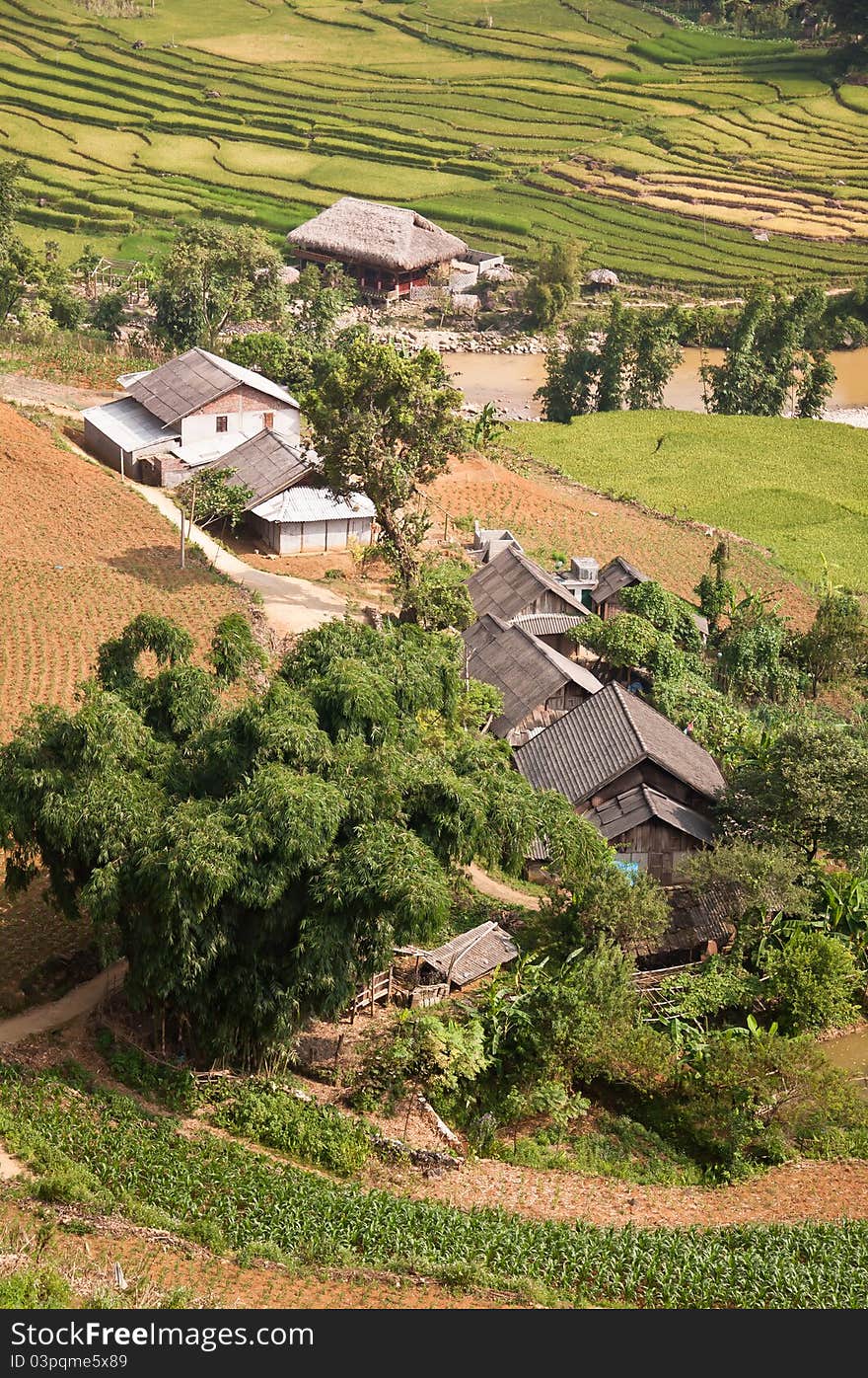 Village Houses in the Field