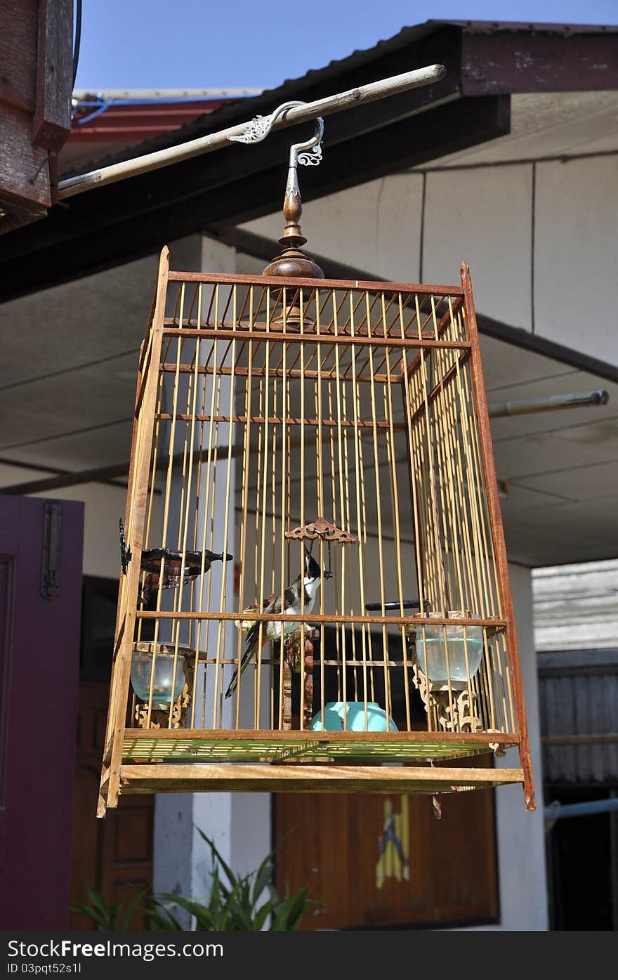 Basic bird cage made ​​of wood. Commonly found. Basic bird cage made ​​of wood. Commonly found.