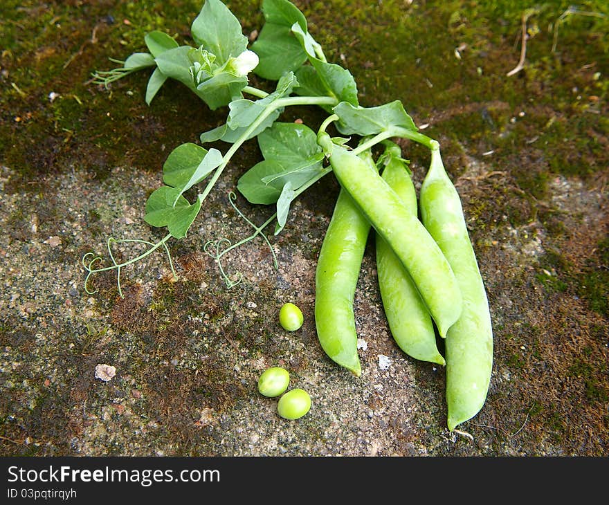 Green peas