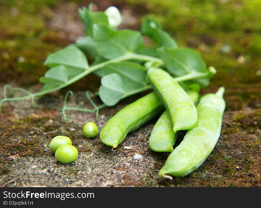 Green peas