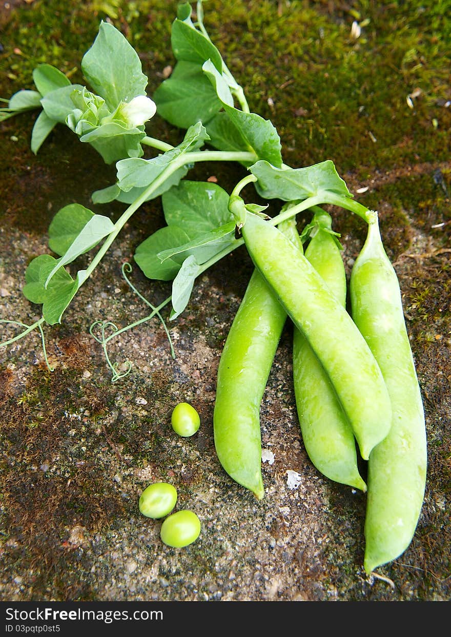 Green peas