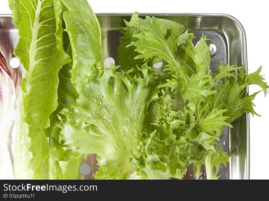 Salad, fresh lettuce, raddichio and mizuna vegetable in tray.