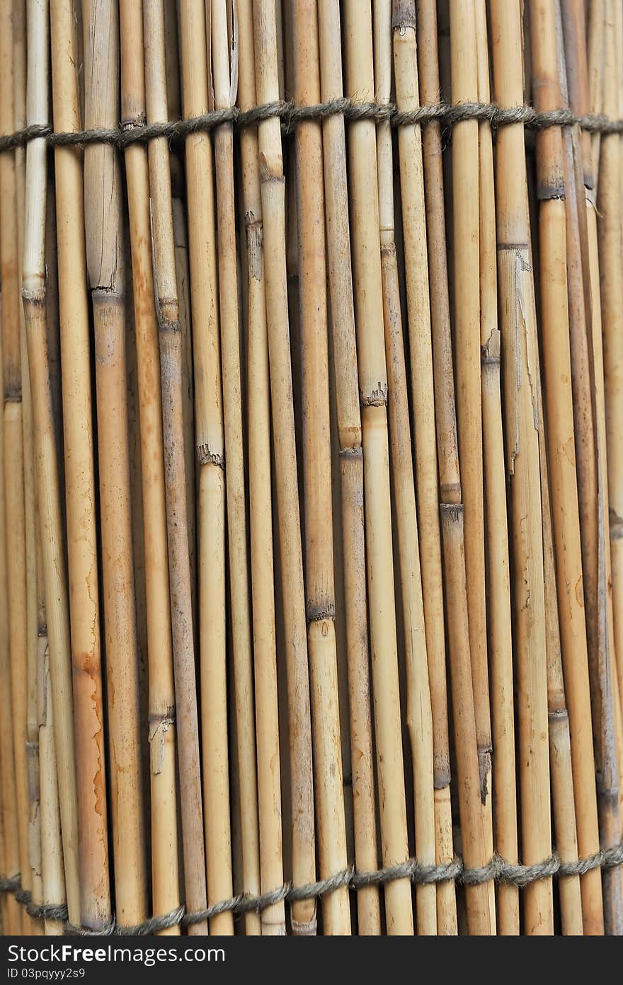 A close up shot of an old bamboo fence.