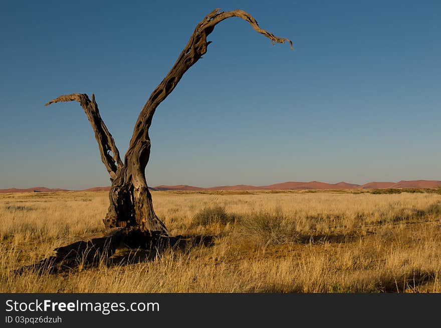 Naukluft Park in Namib Desert, Namibia