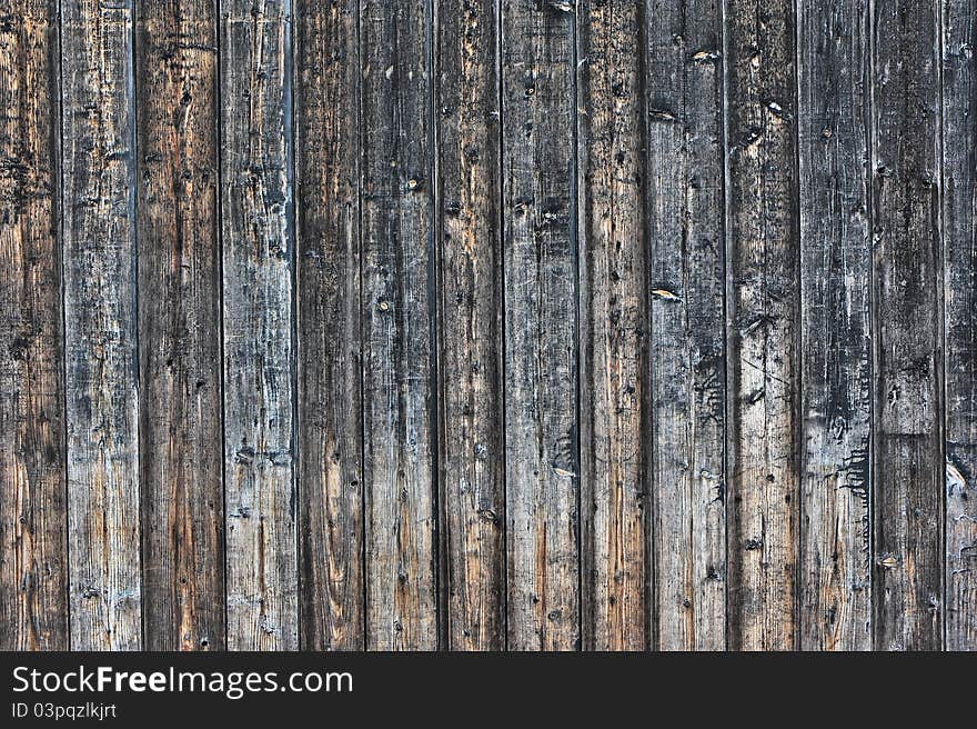 Old Bamboo Fence