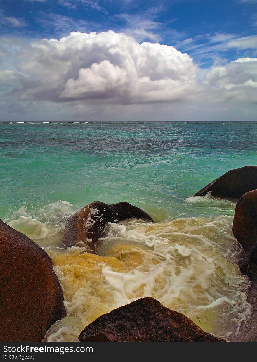 Tropical landscape