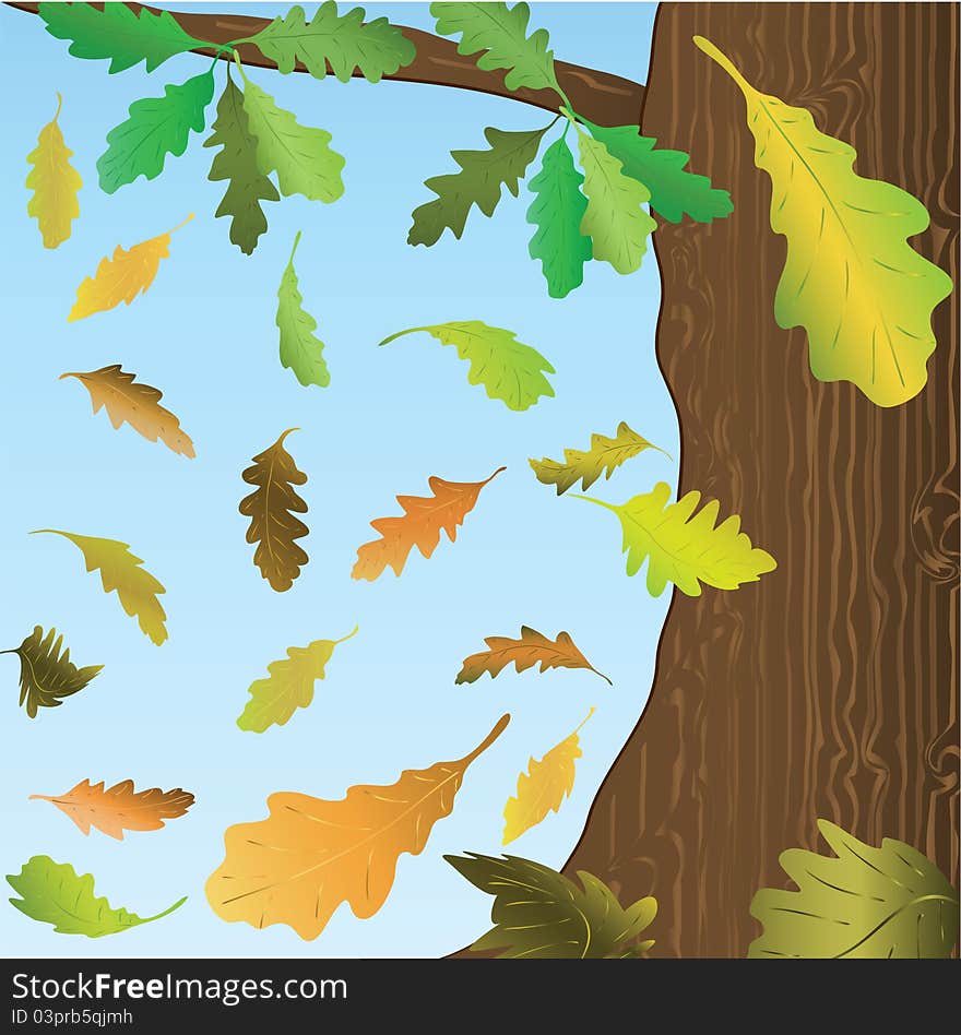 Falling down oak leaves. Vector illustration