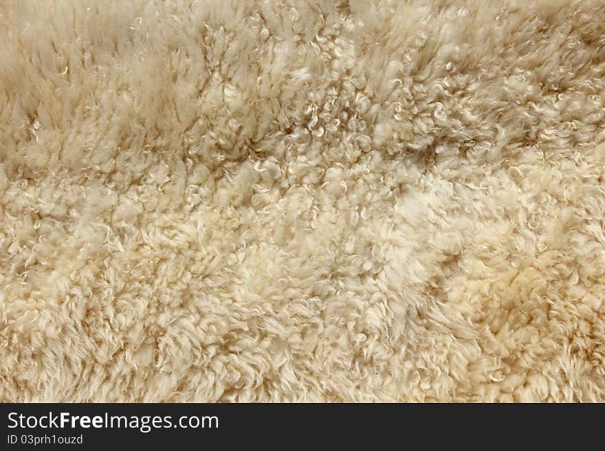 Brown fur background