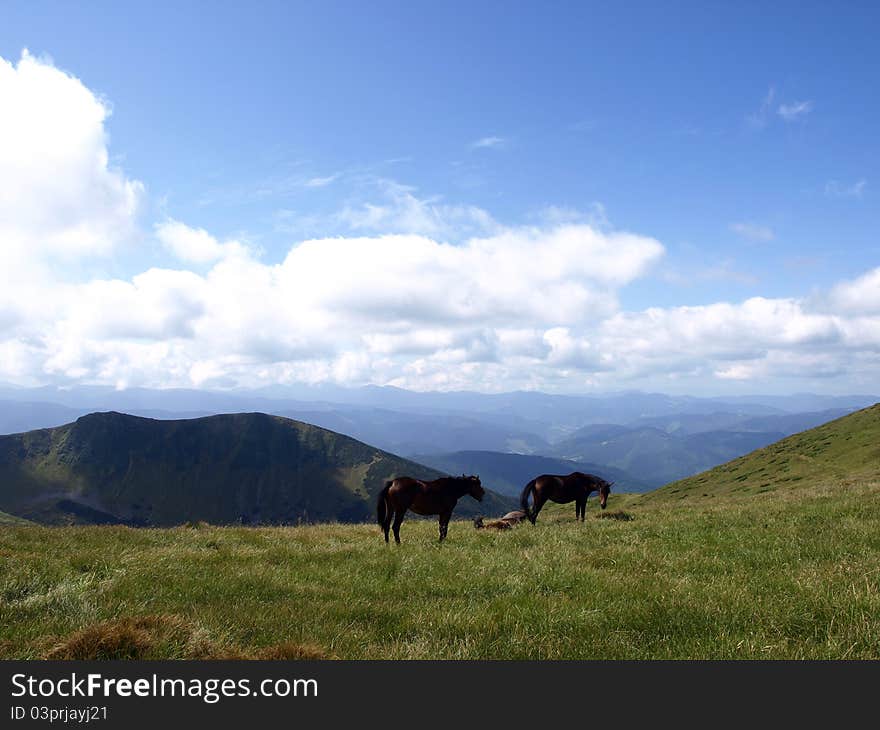 Mountain Landscape