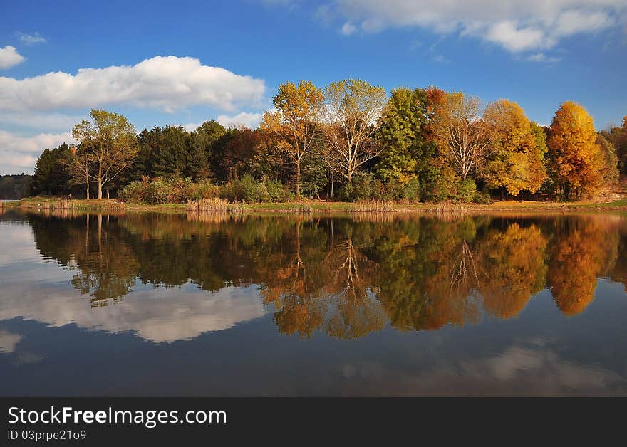 Fall landscape in the park