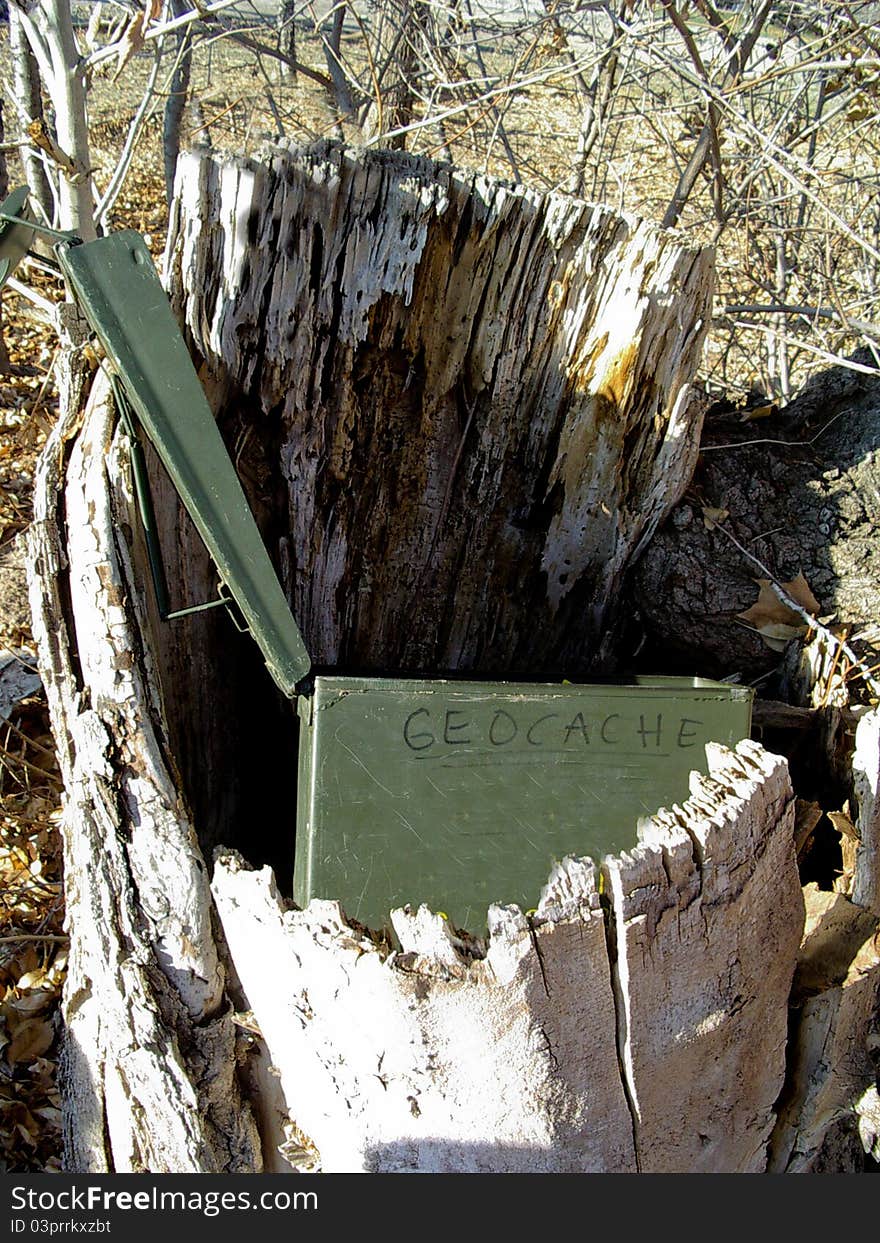 Geocache in a stump