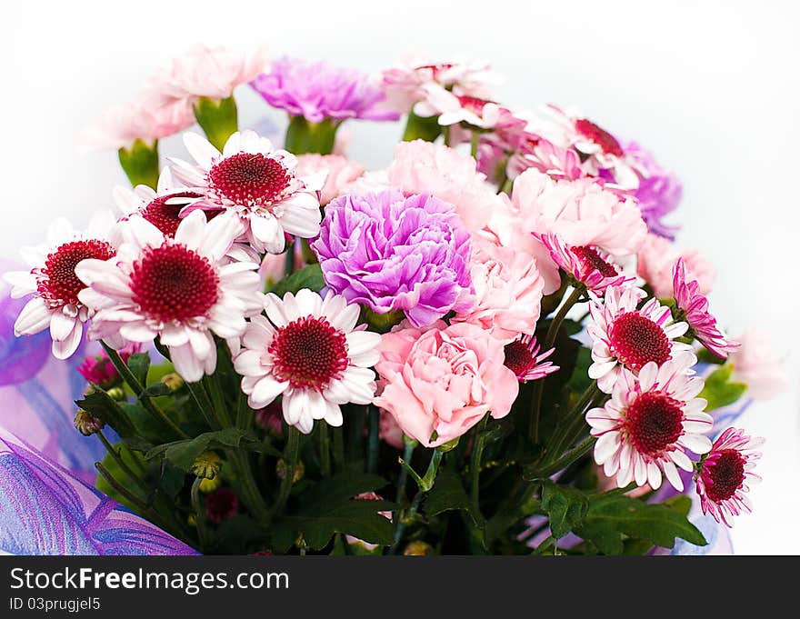 Bunch of pink flowers on white background