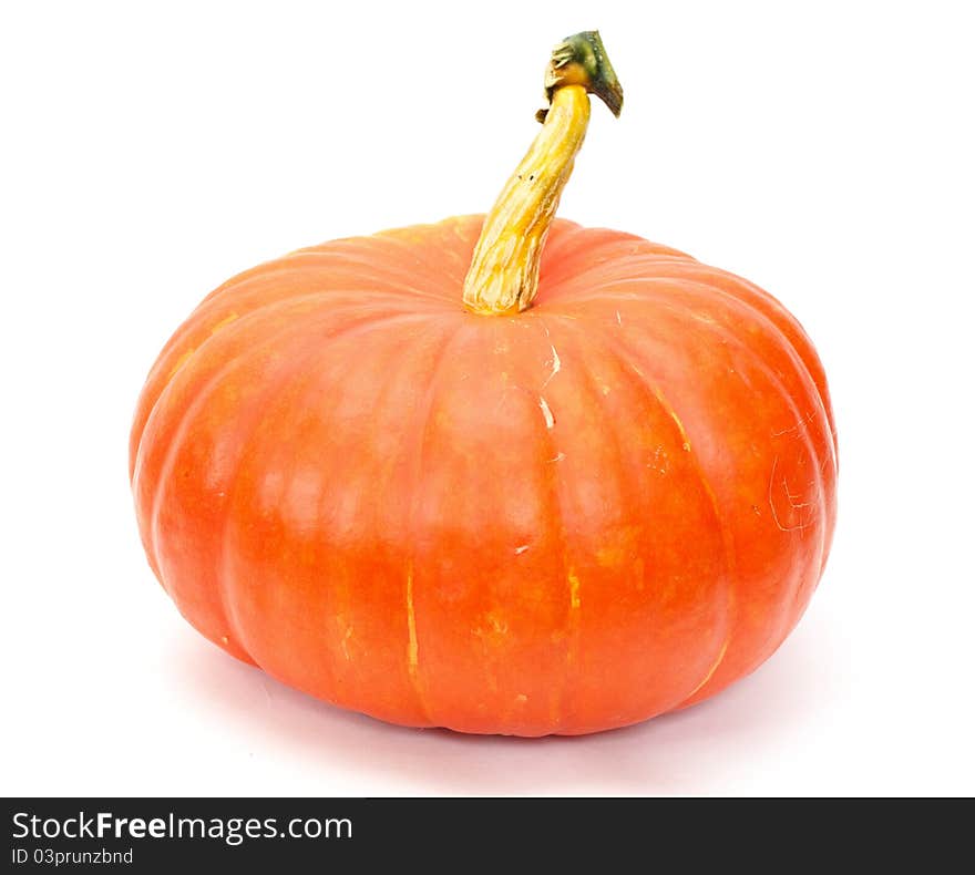 Big orange Pumpkin isolated on white background. Big orange Pumpkin isolated on white background