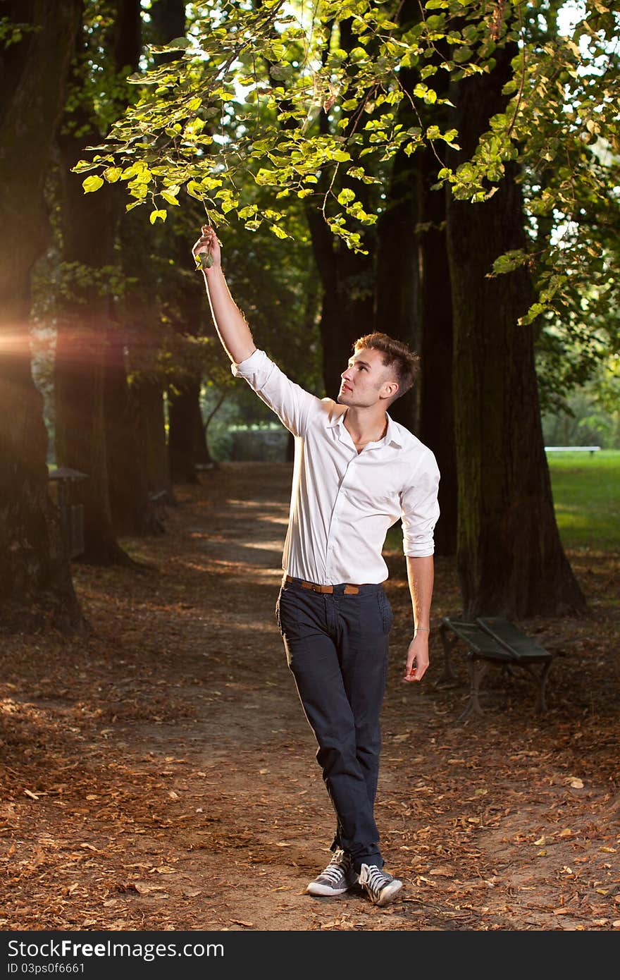 Ecology concept, man looking at the green leaf. Ecology concept, man looking at the green leaf