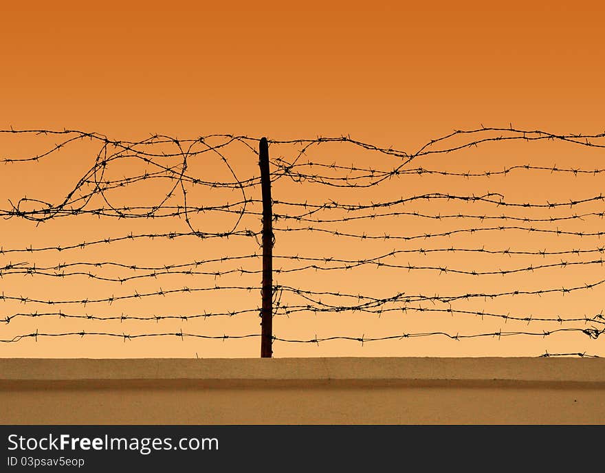 Barbed wire