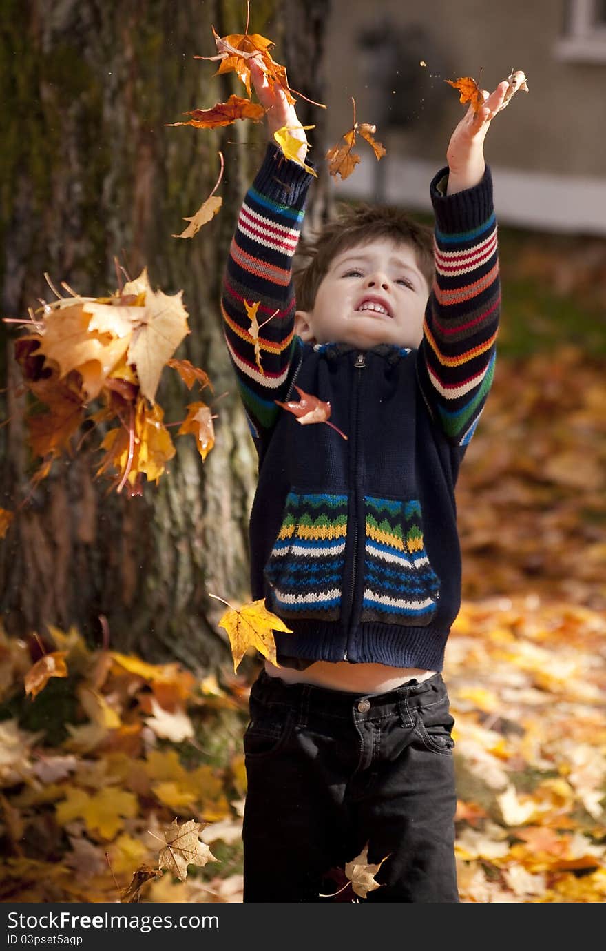 Little boy playing in leaves