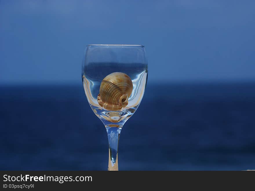 A close up of a sea shell inside of glass of wine with a reflection of the sea and sky. A close up of a sea shell inside of glass of wine with a reflection of the sea and sky