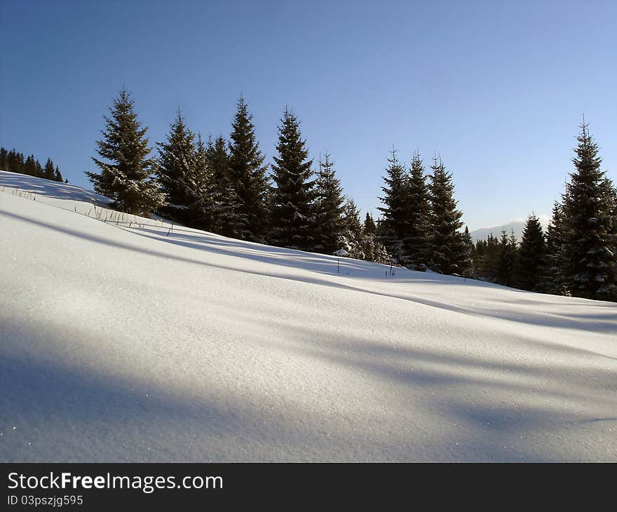 Winter mountains, snow slope, forest of fir-trees. Winter mountains, snow slope, forest of fir-trees