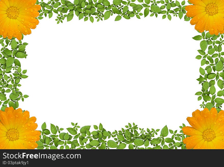 Green plant frame with yellow flowers. Green plant frame with yellow flowers.