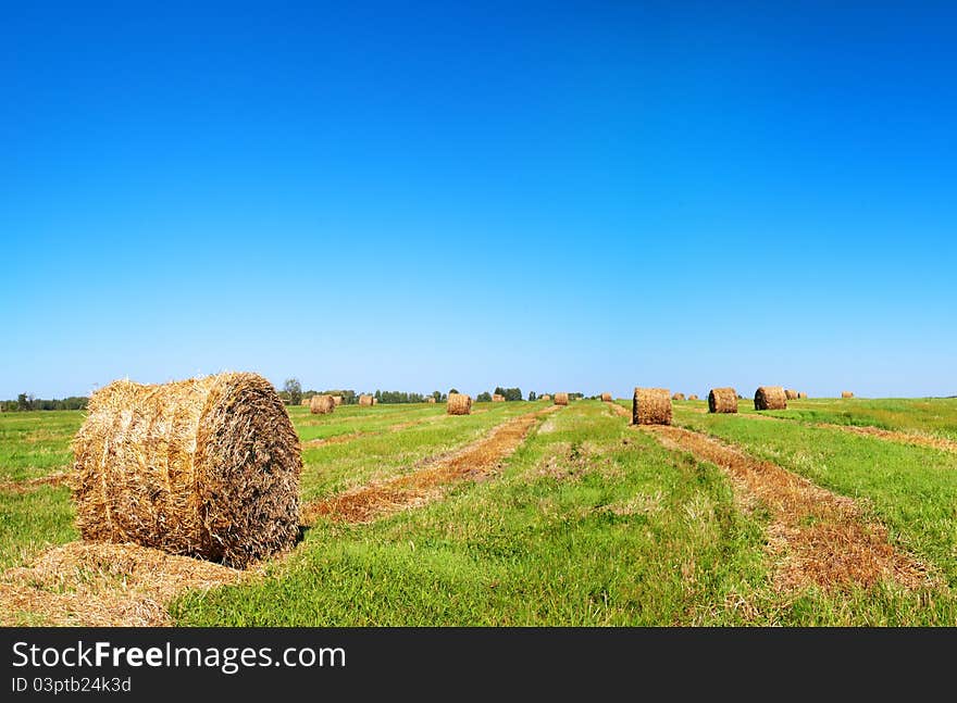 Bale Of Straw On Field