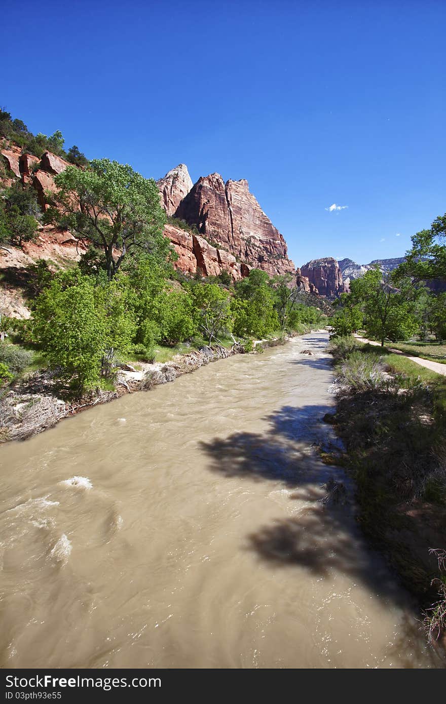 Muddy river in the Zion Canyon National Park, Utah