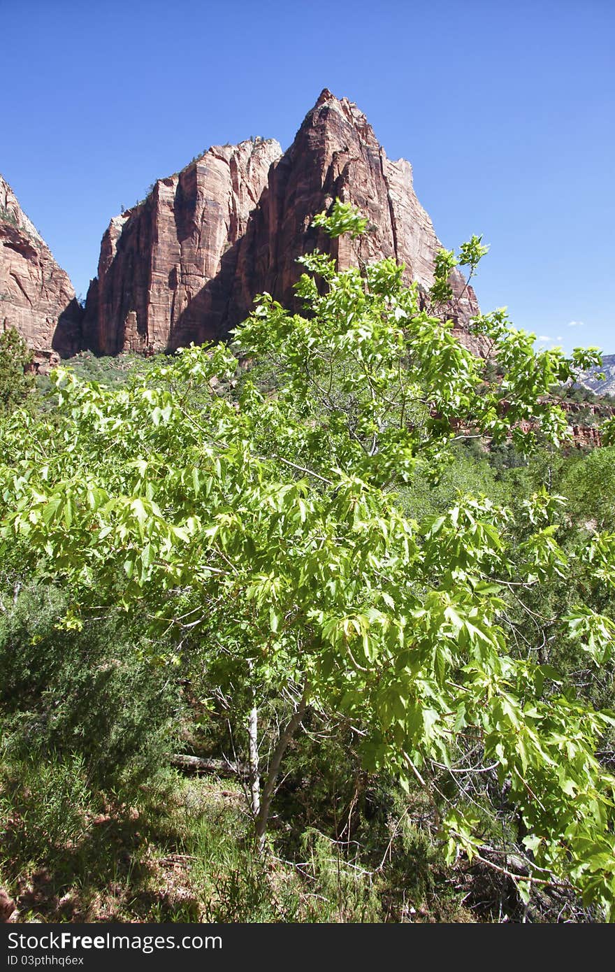 Zion Canyon National Park, Utah