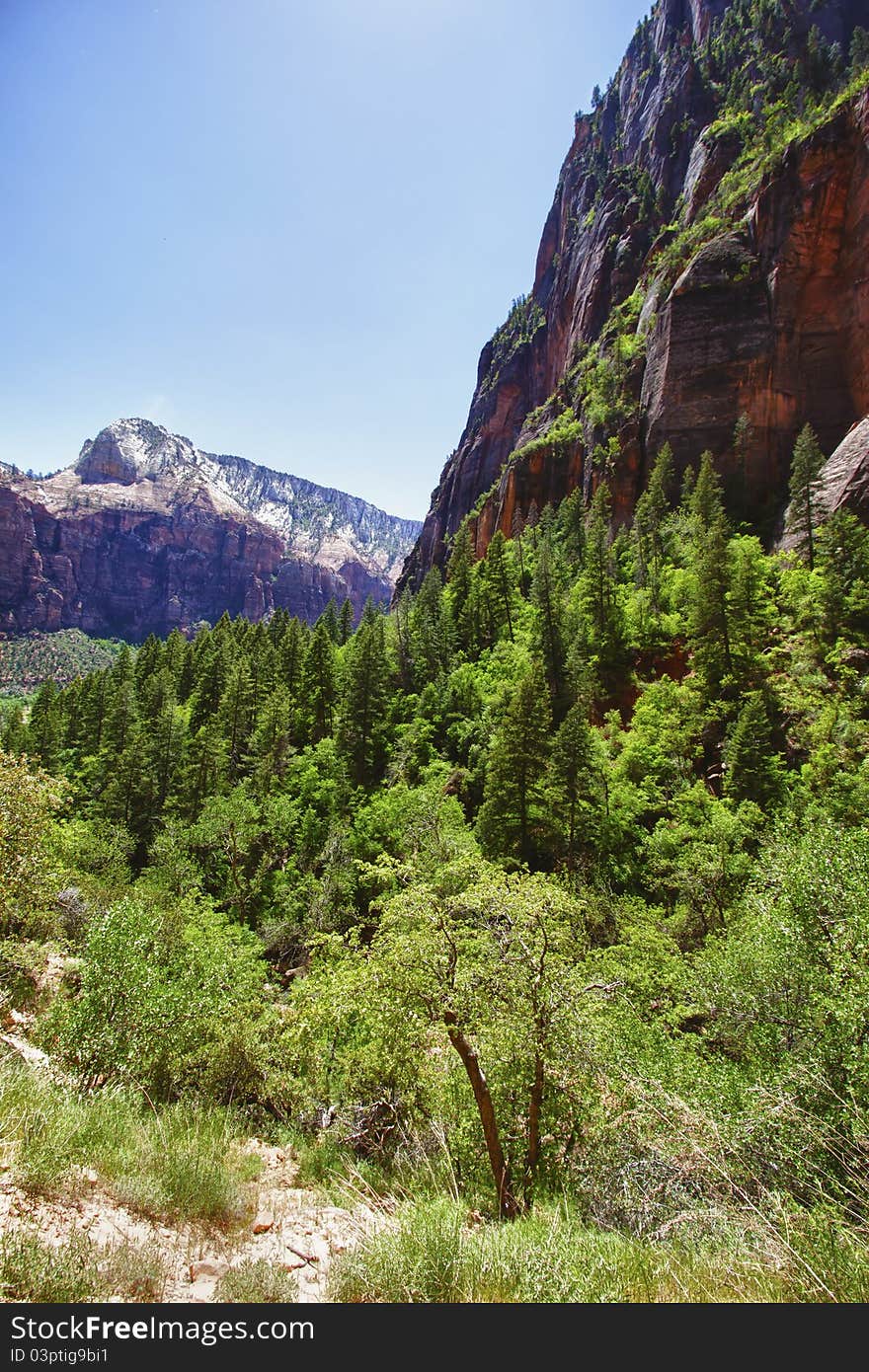 Valley in the Zion Canyon National Park, Utah