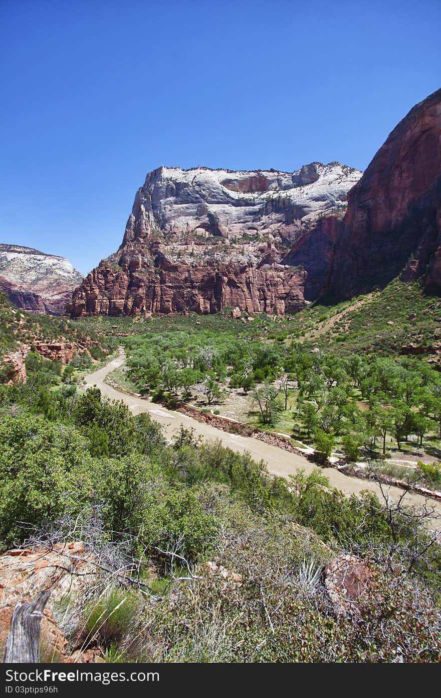 River in the Zion Canyon National Park, Utah