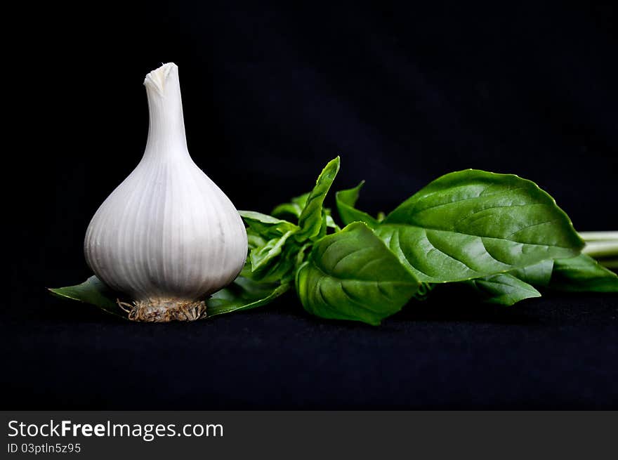 A perfect head of garlic rests on fresh basil leaves, black background. A perfect head of garlic rests on fresh basil leaves, black background