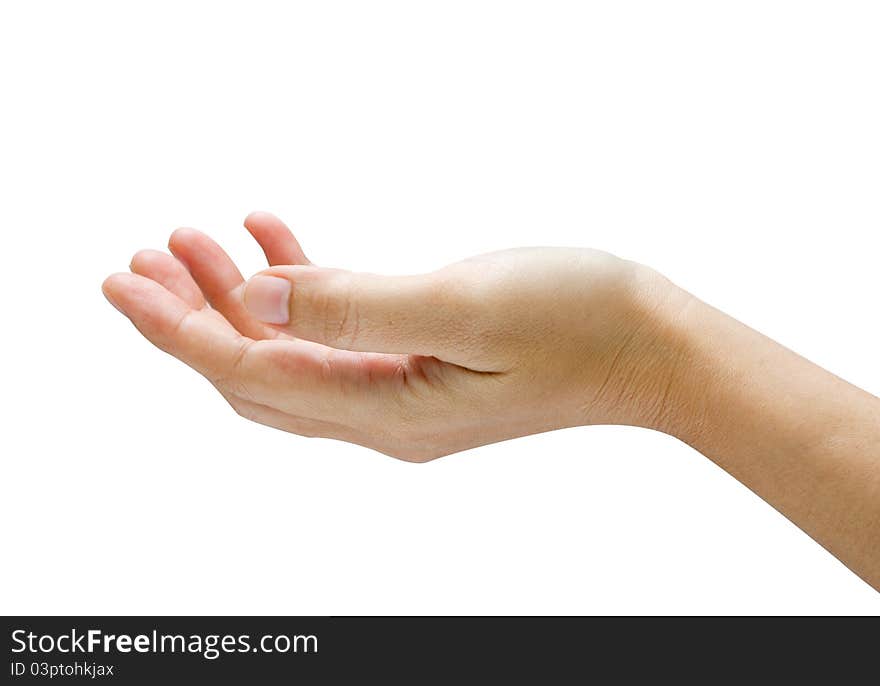 Hand Isolated On White Background