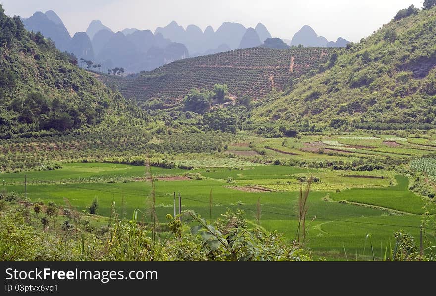 Mountain and rice fields of Yangshuo. China, Guilin, Asia.